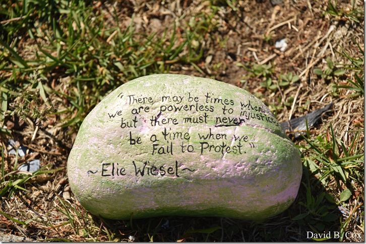 2020 6 1 Blvd painted Rocks & Protest At Rotary 039