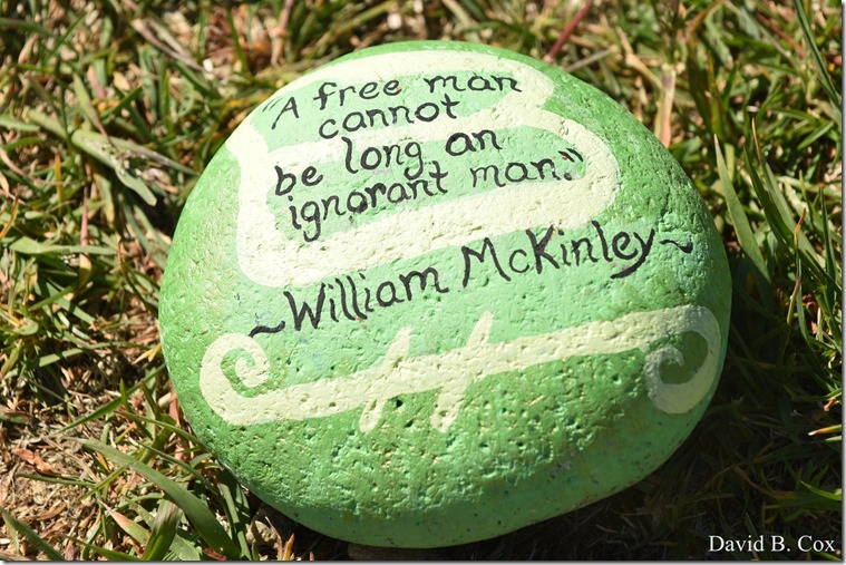 2020 6 1 Blvd painted Rocks & Protest At Rotary 040