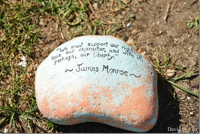2020 6 1 Blvd painted Rocks & Protest At Rotary 041