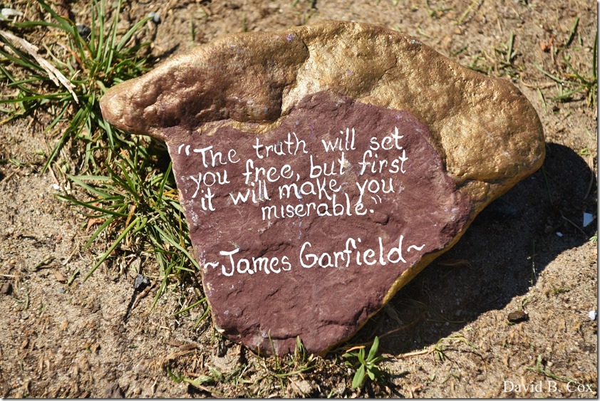 2020 6 1 Blvd painted Rocks & Protest At Rotary 043