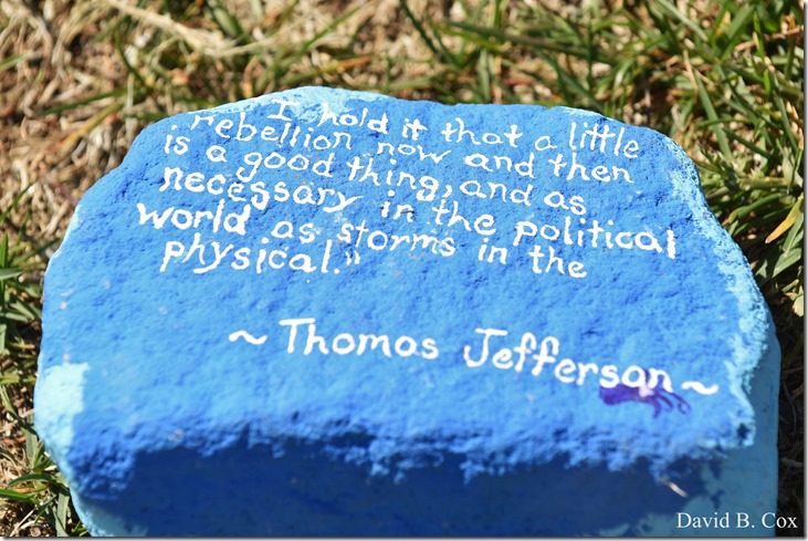 2020 6 1 Blvd painted Rocks & Protest At Rotary 045