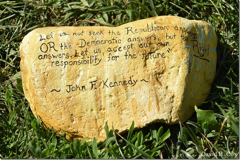 2020 6 1 Blvd painted Rocks & Protest At Rotary 050