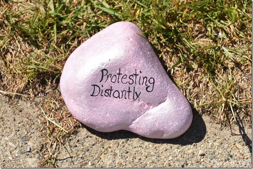 2020 6 1 Blvd painted Rocks & Protest At Rotary 051