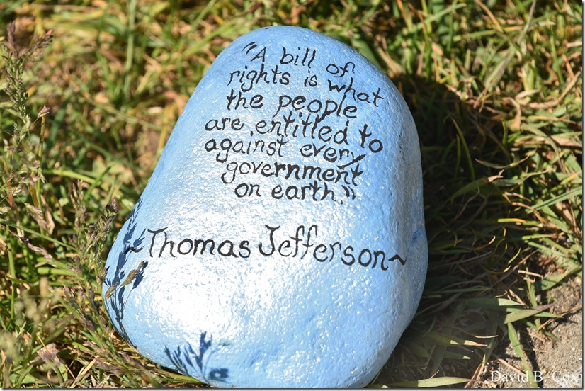 2020 6 1 Blvd painted Rocks & Protest At Rotary 052