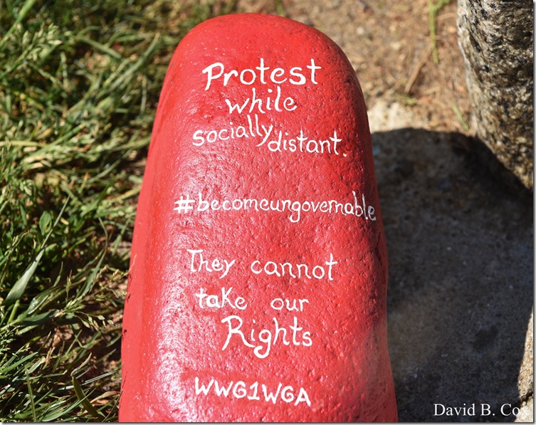 2020 6 1 Blvd painted Rocks & Protest At Rotary 055