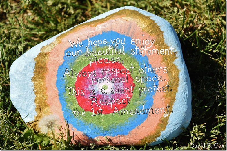 2020 6 1 Blvd painted Rocks & Protest At Rotary 056