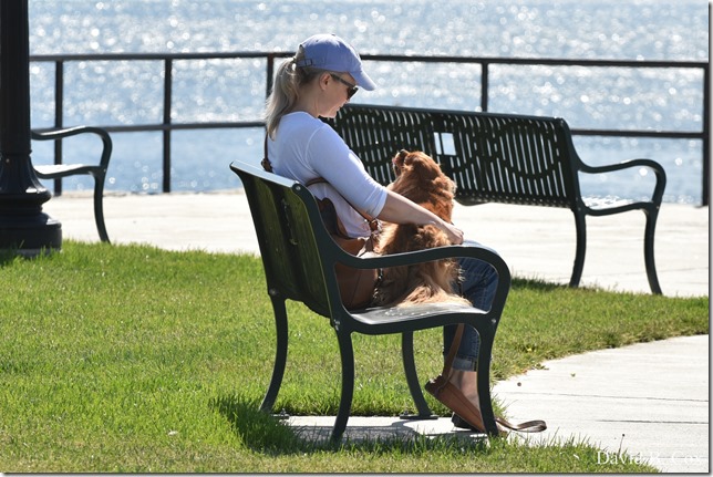 2020 6 16 Several Days Walks Blvd 051