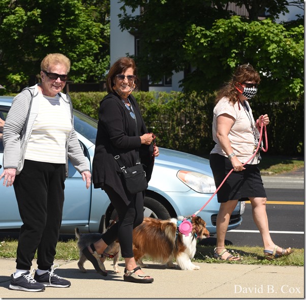 2020 6 16 Several Days Walks Blvd 110