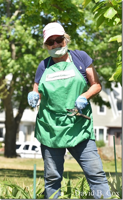 2020 6 16 Several Days Walks Blvd 138