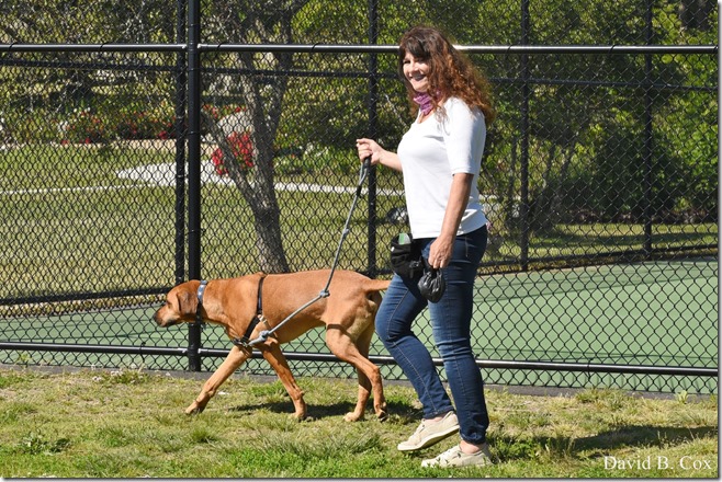 2020 6 20 Walks & G H Beach 006