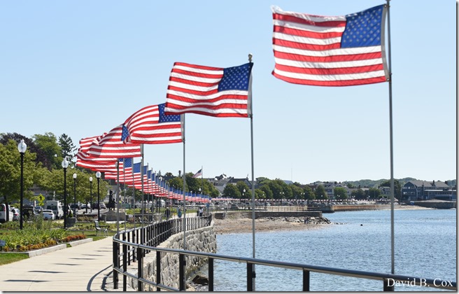 2020 6 20 Walks & G H Beach 009