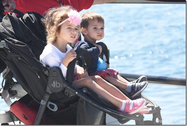 2020 6 20 Walks & G H Beach 034