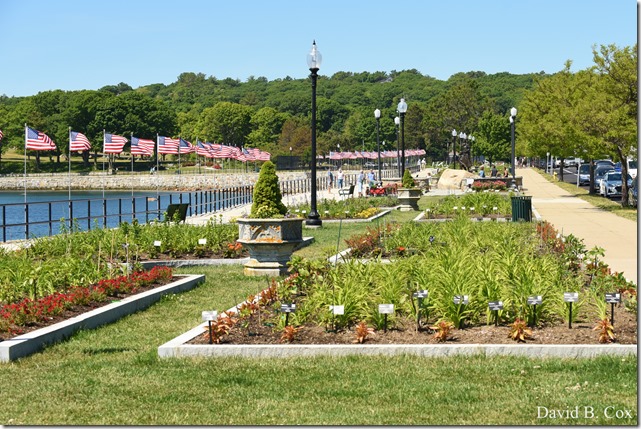 2020 6 20 Walks & G H Beach 046