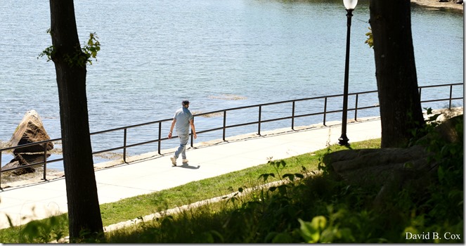 2020 6 20 Walks & G H Beach 069