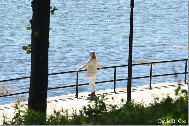 2020 6 20 Walks & G H Beach 071