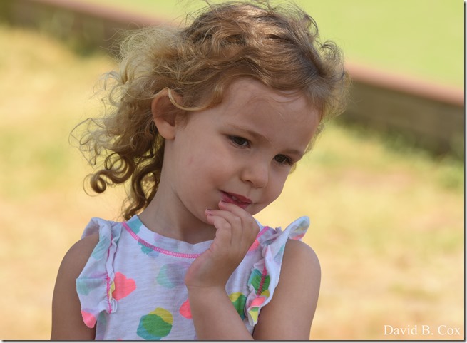 2020 6 20 Walks & G H Beach 117