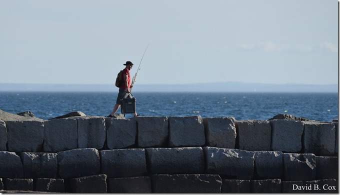 2020 6 20 Walks & G H Beach 156