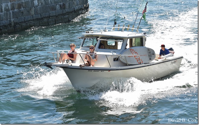 2020 6 20 Walks & G H Beach 169