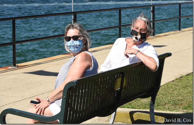 2020 6 20 Walks & G H Beach 176