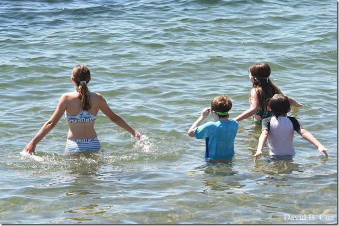 2020 6 20 Walks & G H Beach 190