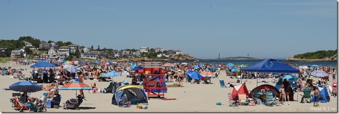 2020 6 20 Walks & G H Beach 194