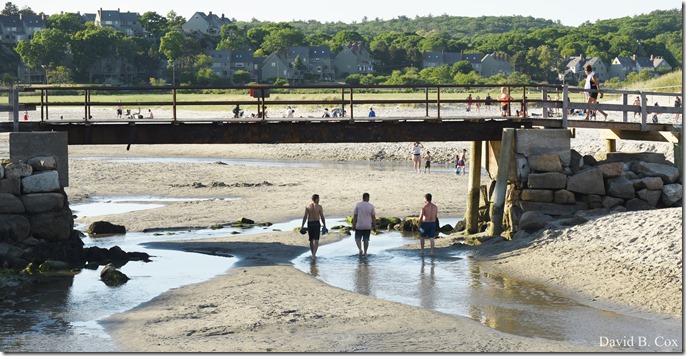 2020 6 20 Walks & G H Beach 212