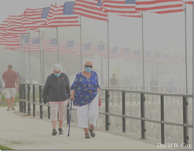 2020 6 24 Walks Blvd 003