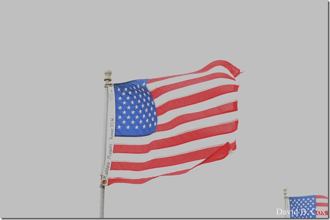 2020 6 24 Walks Blvd 013