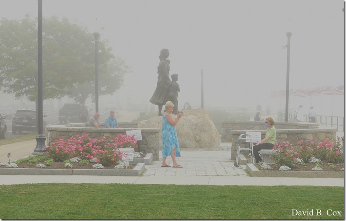 2020 6 24 Walks Blvd 015