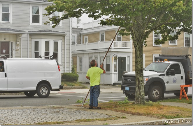 2020 6 24 Walks Blvd 046