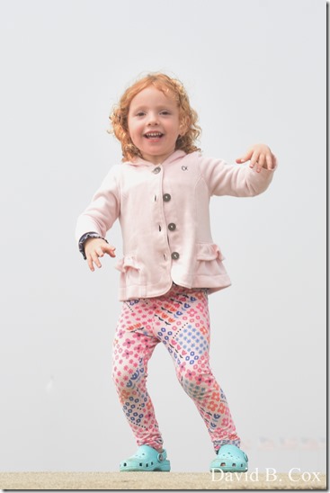 2020 6 24 Walks Blvd 079