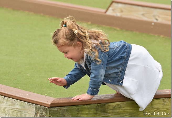 2020 6 24 Walks Blvd 134