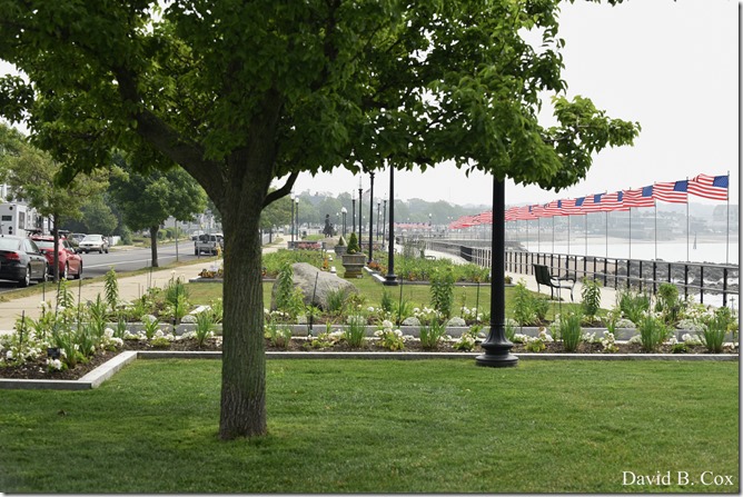 2020 6 24 Walks Blvd 153