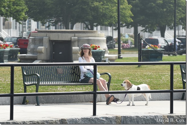 2020 6 24 Walks Blvd 173