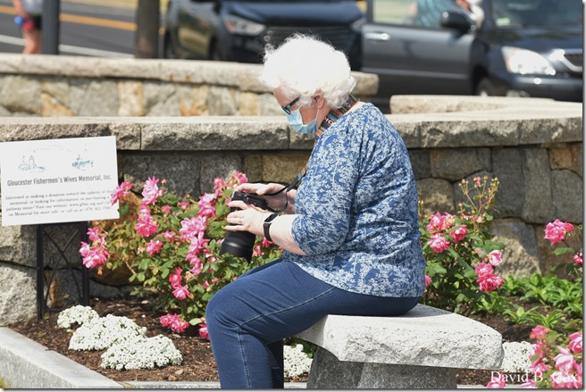 2020 6 24 Walks Blvd 185