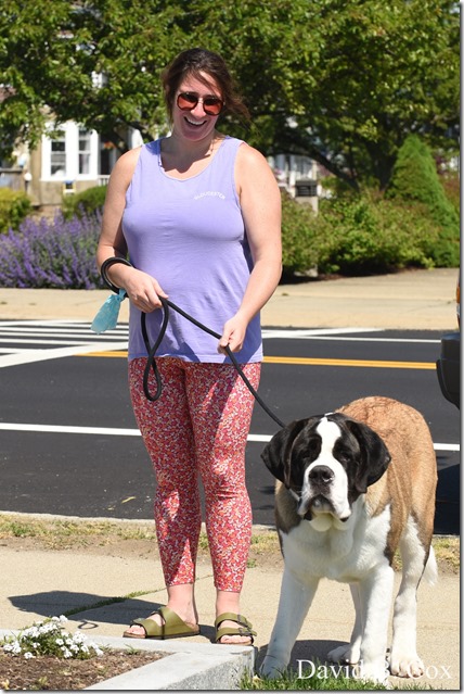 2020 6 4 Misc Walks & G H Beach 058