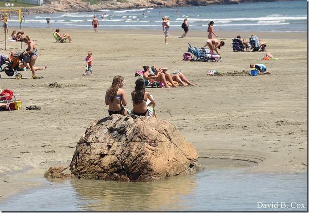 2020 6 4 Misc Walks & G H Beach 086