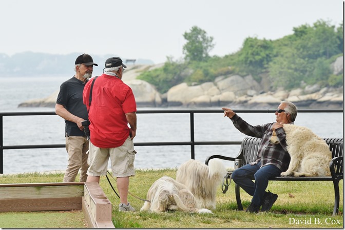 2020 6 7 Full Moon & Sky & Blvd & Floral 001