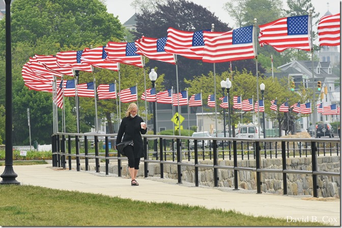 2020 6 7 Full Moon & Sky & Blvd & Floral 002