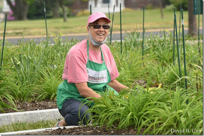 2020 6 7 Full Moon & Sky & Blvd & Floral 006