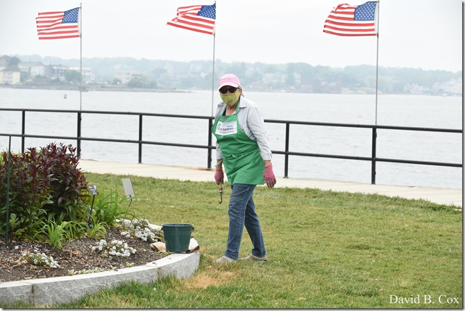 2020 6 7 Full Moon & Sky & Blvd & Floral 007