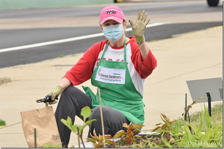 2020 6 7 Full Moon & Sky & Blvd & Floral 028