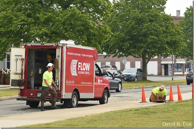 2020 6 7 Full Moon & Sky & Blvd & Floral 032