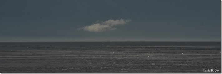 2020 6 7 Full Moon & Sky & Blvd & Floral 057