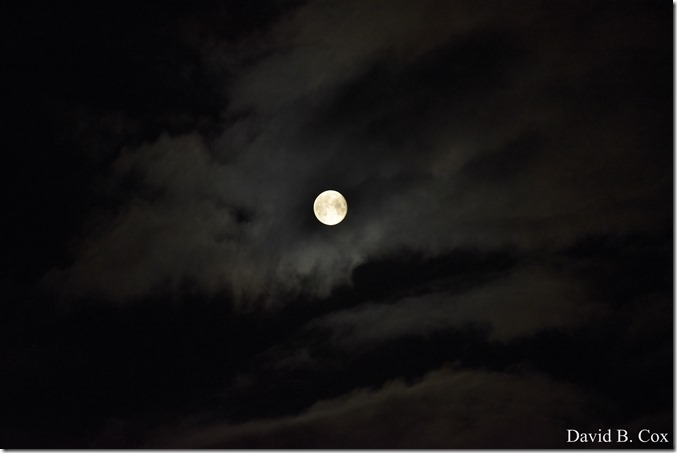 2020 6 7 Full Moon & Sky & Blvd & Floral 068