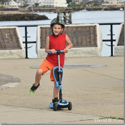 2020 6 7 Full Moon & Sky & Blvd & Floral 079