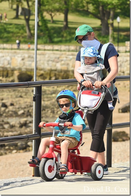 2020 6 9 Walks Blvd 008