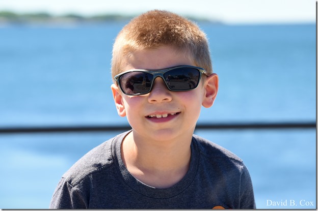 2020 6 9 Walks Blvd 010