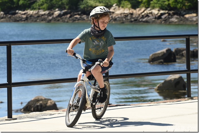 2020 6 9 Walks Blvd 023