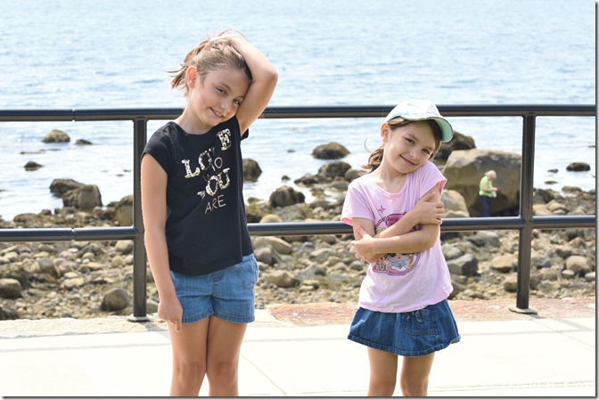 2020 6 9 Walks Blvd 030